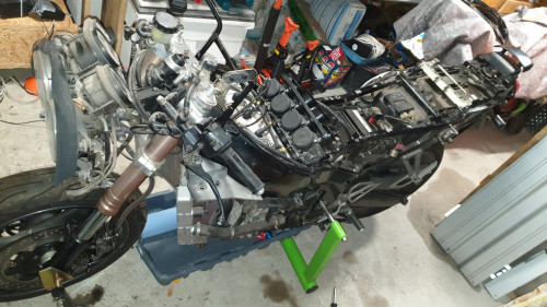 20210204_123238.jpg (483.68 KiB) 33023 mal betrachtet die neue 1